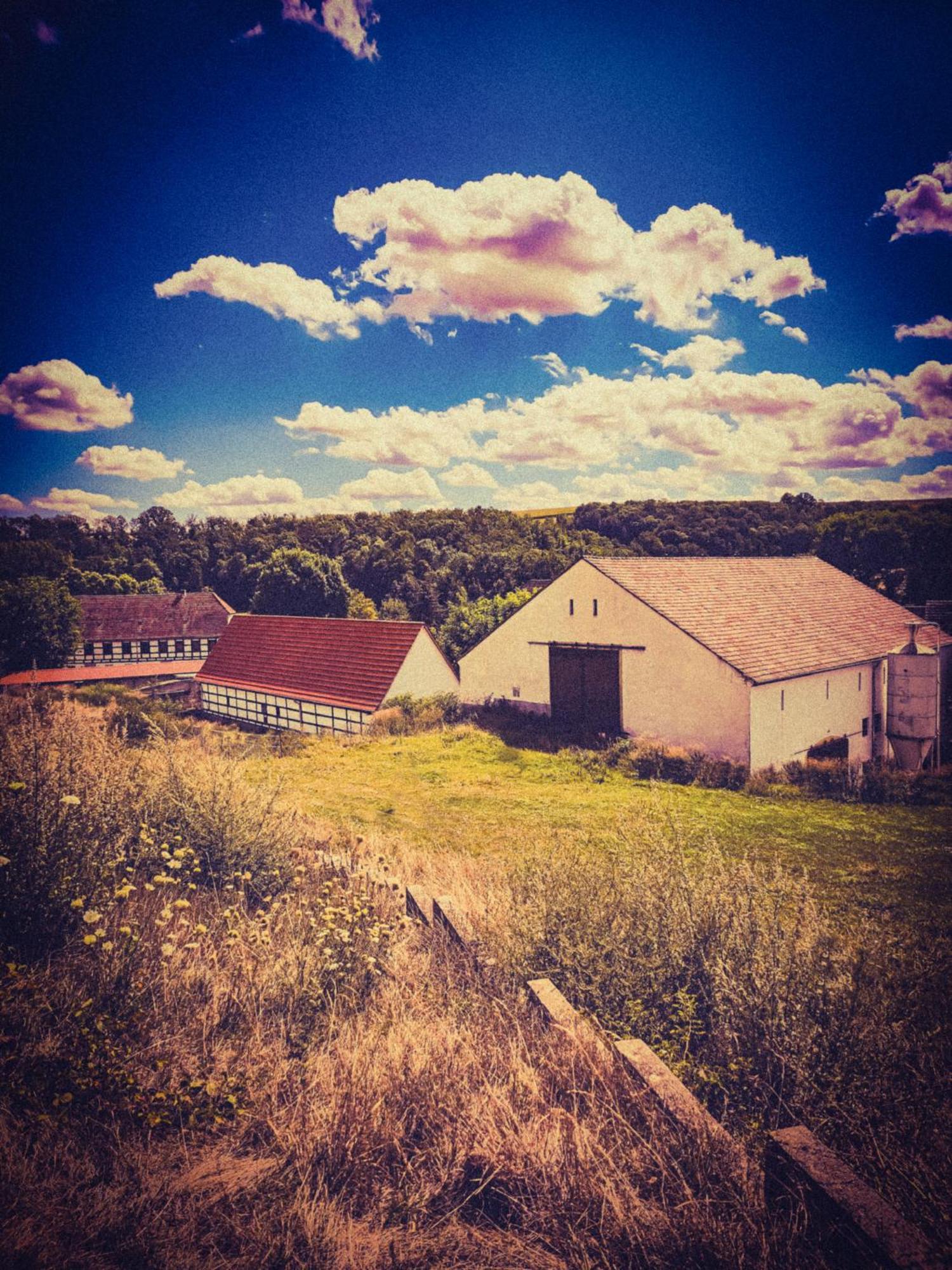 ホテル Schwalbenhof Lommatzsch エクステリア 写真