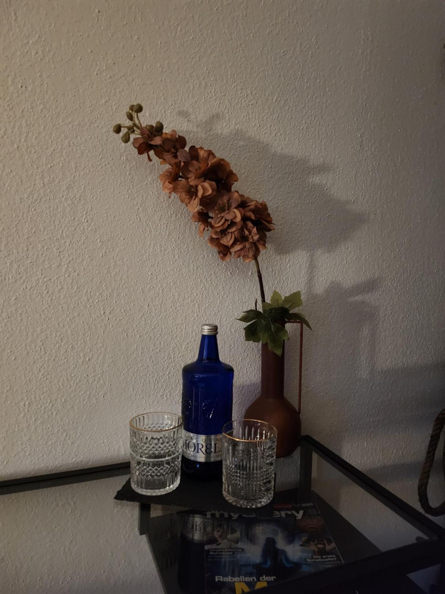 ホテル Schwalbenhof Lommatzsch エクステリア 写真